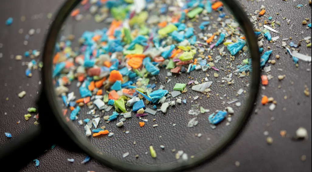Microplastic Intake