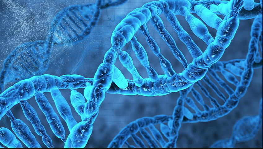 Breakthrough DNA Editing in Lactobacillus Offers Safer Probiotics in 2025