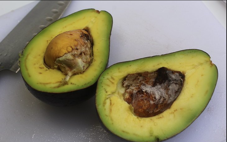 Avocado Has Gone