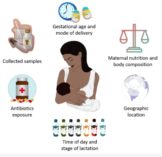 Breastfeeding routines almost never alter the microbiota in milk, a study says.